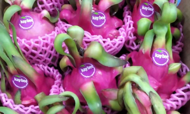 WhatsApp Image 2024-08-28 at 3.24.14 PM (1)