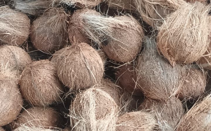 WhatsApp Image 2024-10-16 at 15.34.30_982cdf29