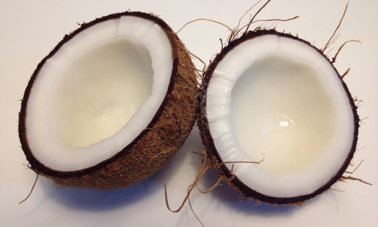 coconut-1771527_1920