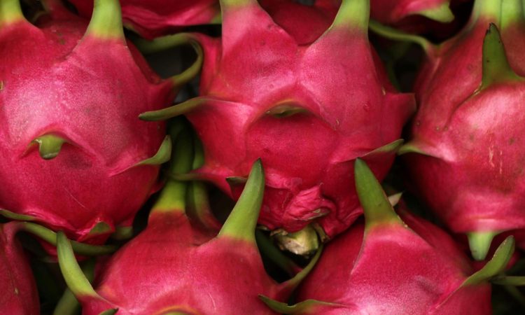 pexels-saturnus99-8813523